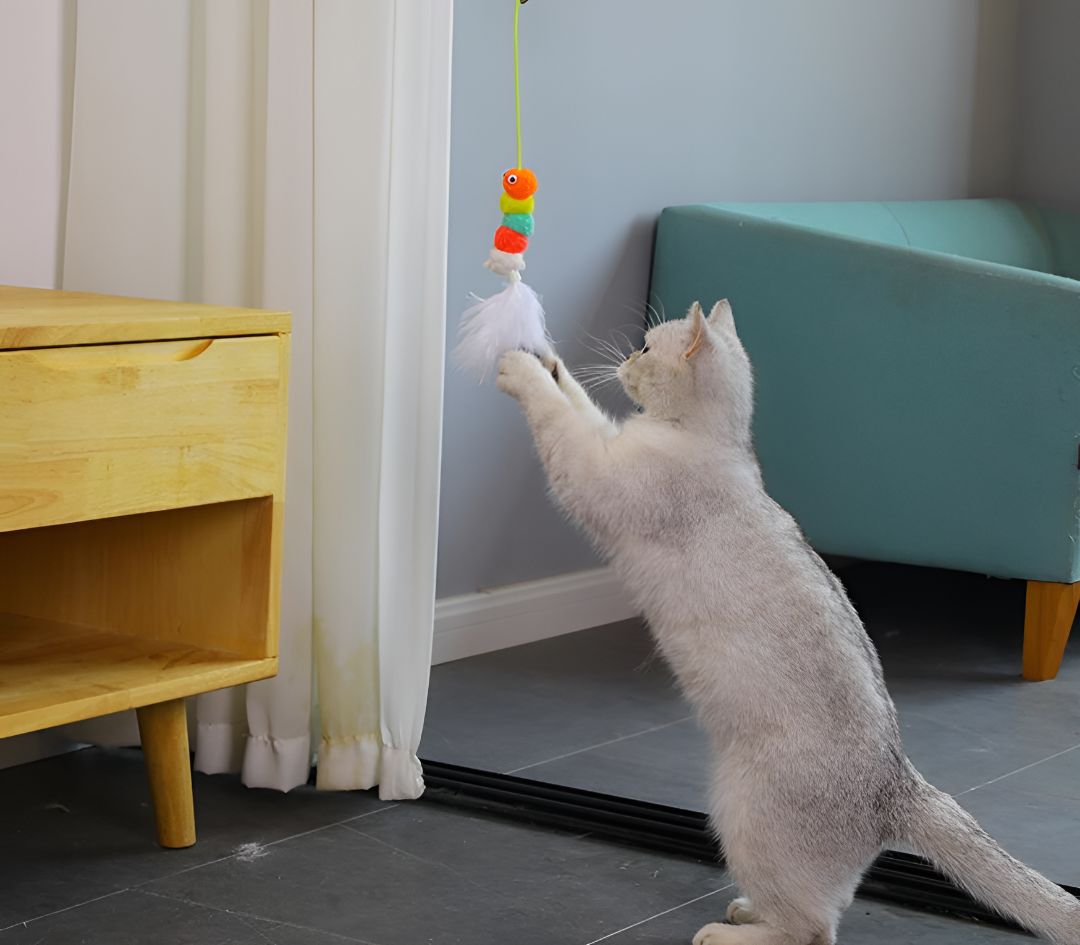 FUN AND SAFE TOYS FOR ACTIVE PETS